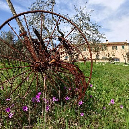פיסטויה Agriturismo La Torricella מראה חיצוני תמונה