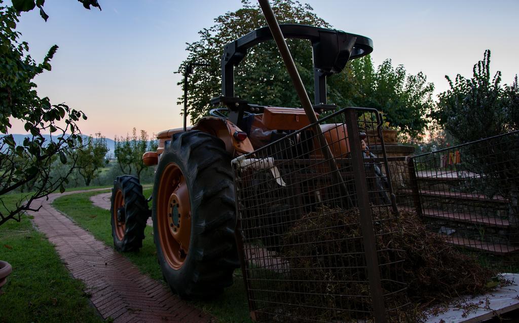 פיסטויה Agriturismo La Torricella מראה חיצוני תמונה
